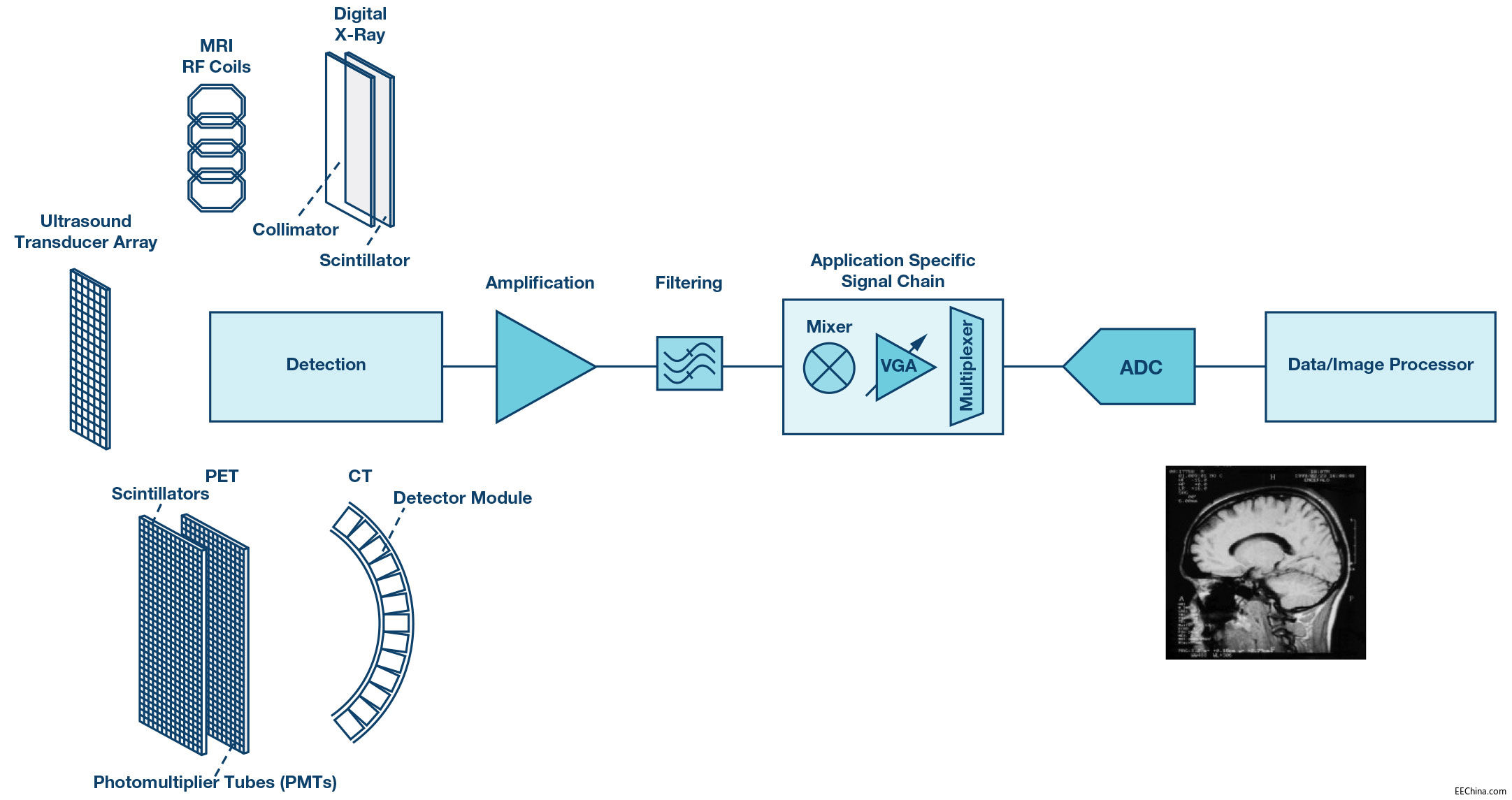 233812-fig-02.jpg