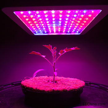LPR_Horticulture_Applicatio.jpg