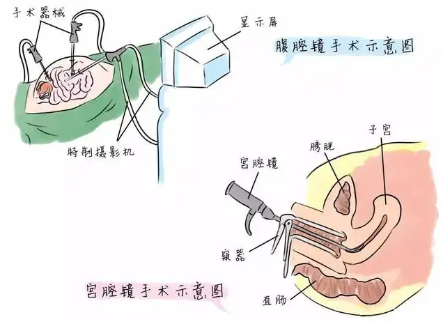 QQ截图20220412134413.png