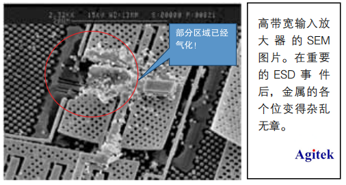 图片5_副本.png