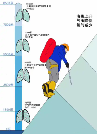 QQ截图20220901110932.png