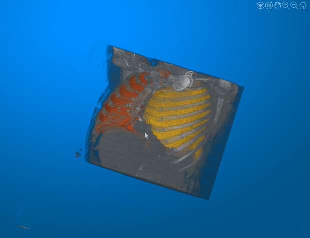 Medical Imaging Toolbox提供经典或深度学习算法.jpg