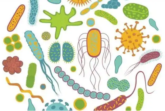光谱学流量传感器在微生物实验室测量空气流速的应用
