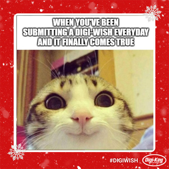 DigiWish4.jpg