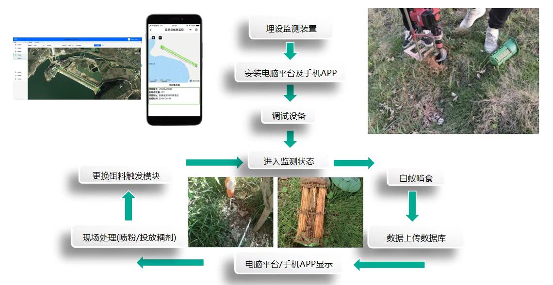 鼎昆科技利用Semtech的LoRa器件为文物古建打造白蚁自动化监测预警系统