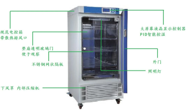 图片11.png