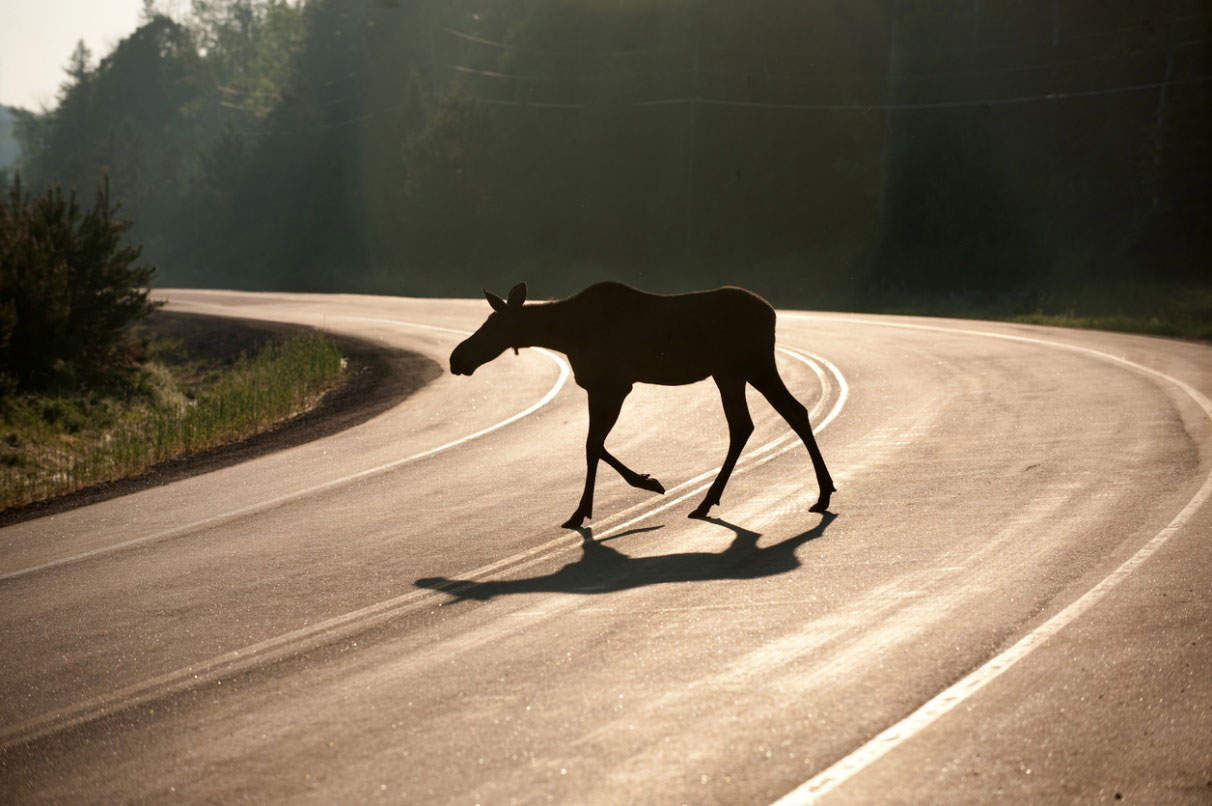 image011.jpg