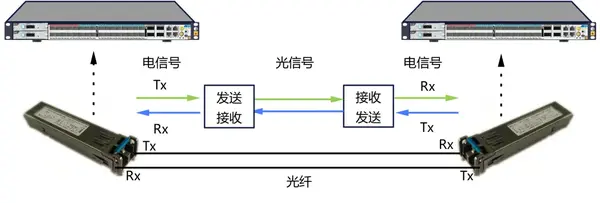 光？榈男藕.png