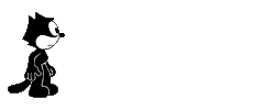 走猫.gif