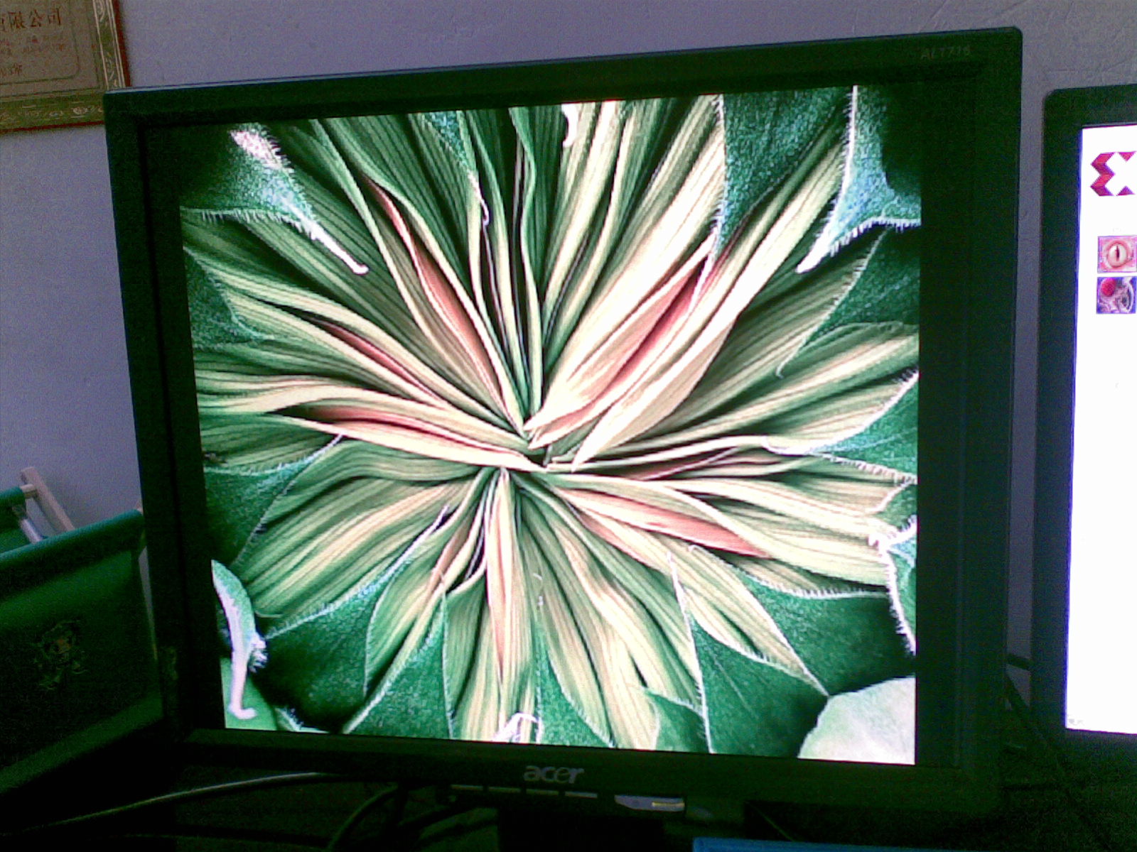 20101027_015.jpg