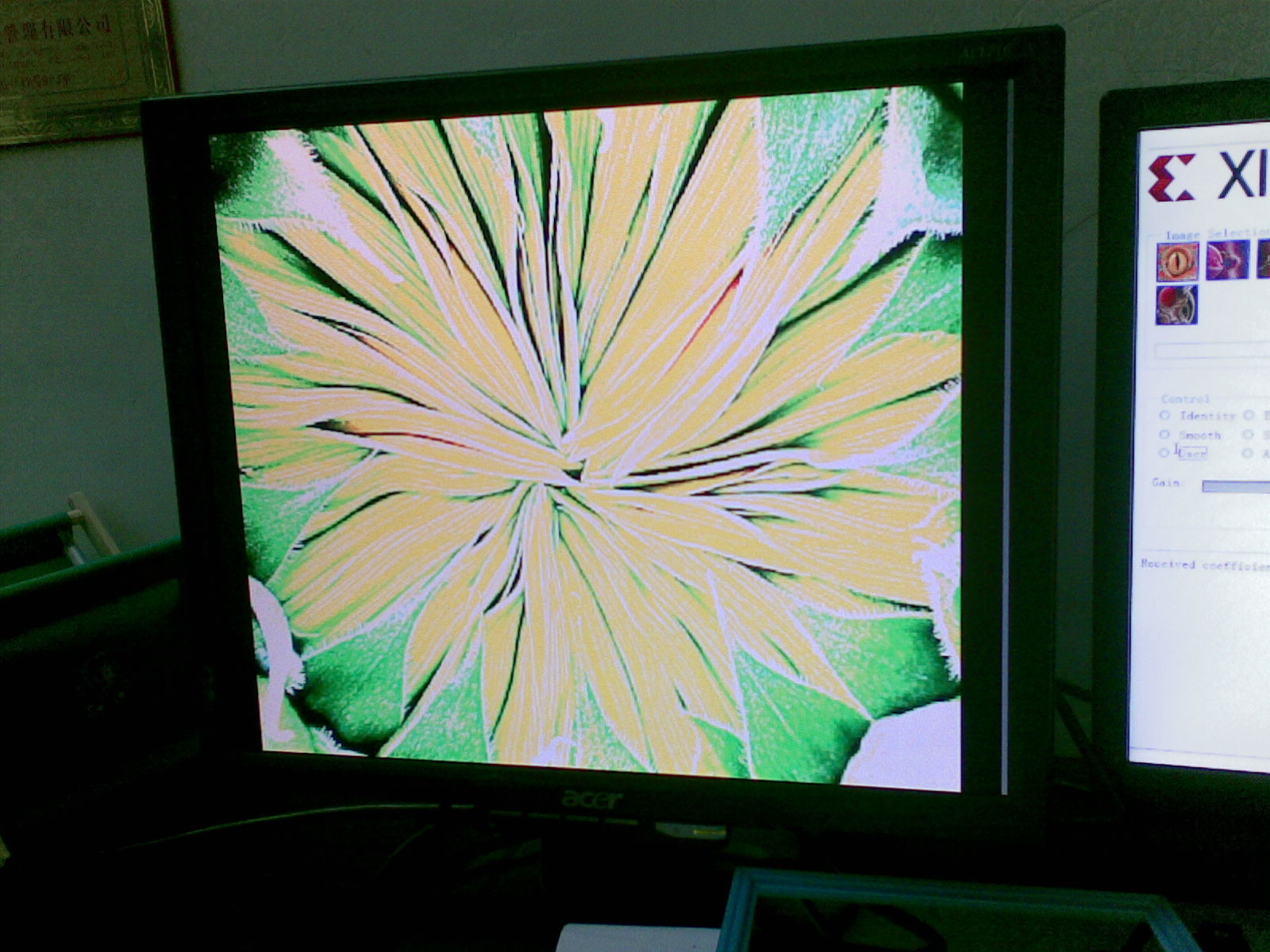 20101027_016.jpg