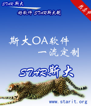 斯大OA软件--一流定制 拷贝.jpg