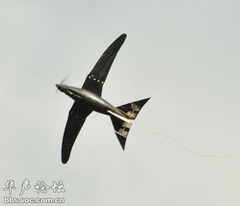 2011013042.jpg