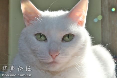 2011013039.jpg