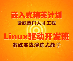 嵌入式精英.gif