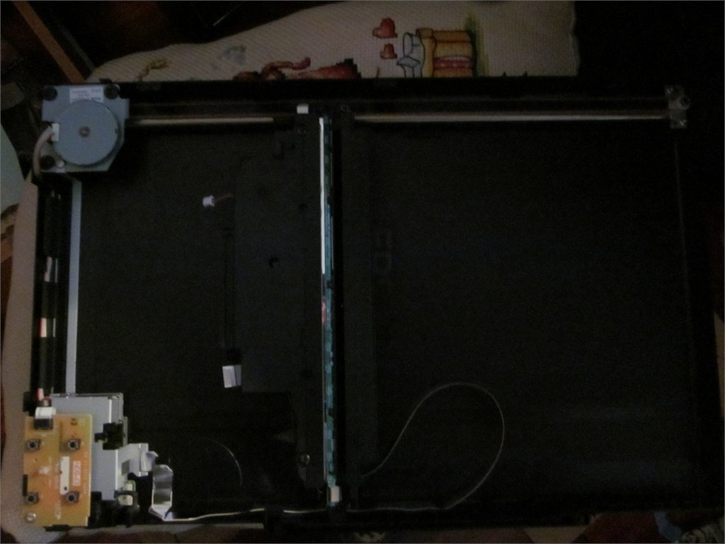 1.JPG