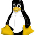 20110815071839252.jpg