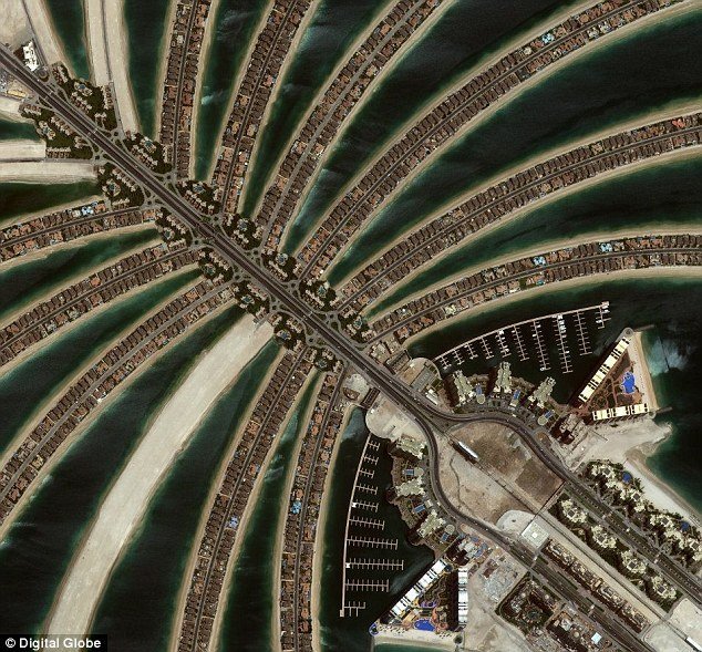 09524781292114545.jpg