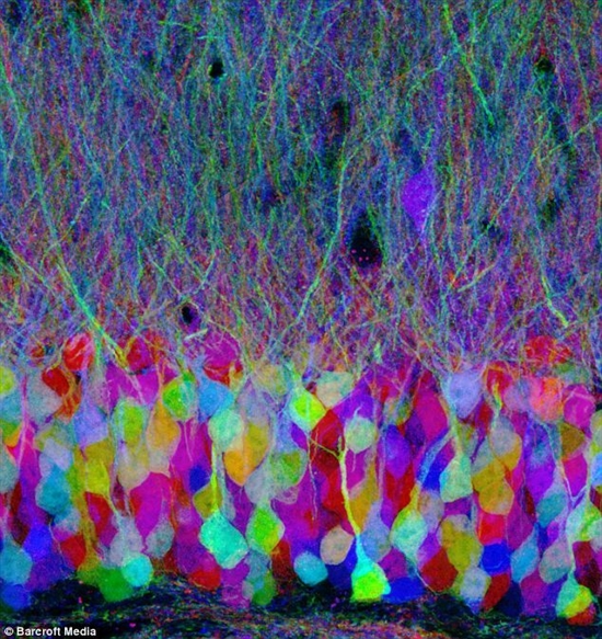 095236848187754.jpg