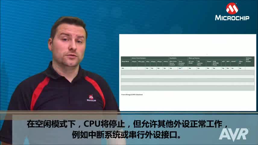 AVR® Insights — 第4集 — 休眠模式视频