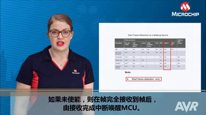 AVR® Insights — 第6集 — USART视频