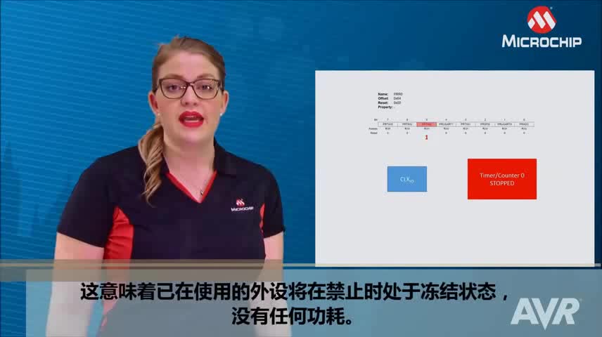 AVR® Insights — 第8集 — 省电寄存器视频