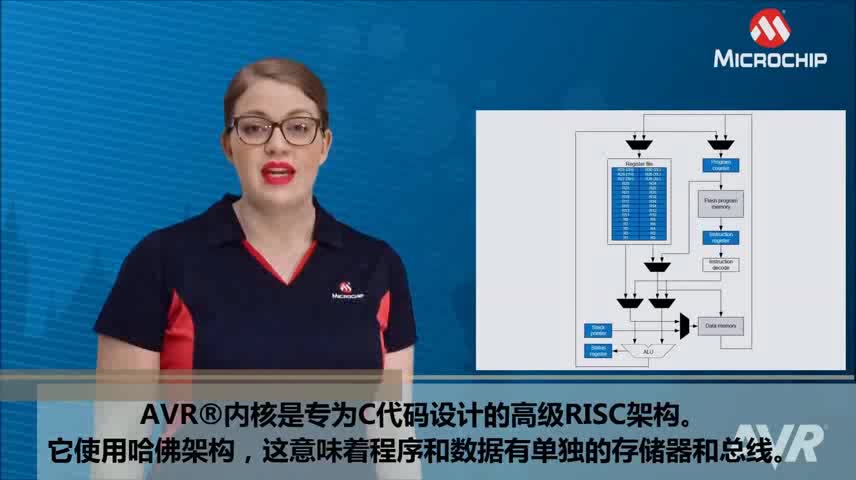 AVR® Insights — 第10集 — 优化C代码视频