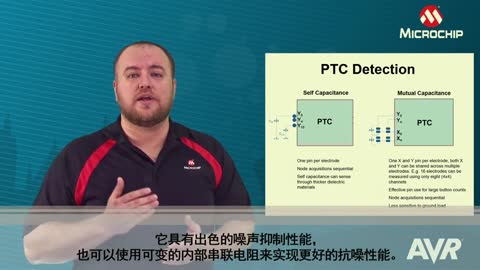 AVR® Insights — 第13集 — PTC视频