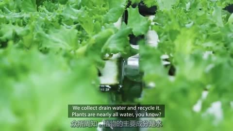 打造智能城市：用垂直农场解决未来粮食问题视频